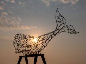 Rostock Ausflugstipps Kinder