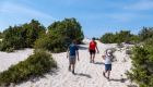 Strandwanderung Plage de Ostriconi