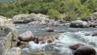 Fango Korsika
