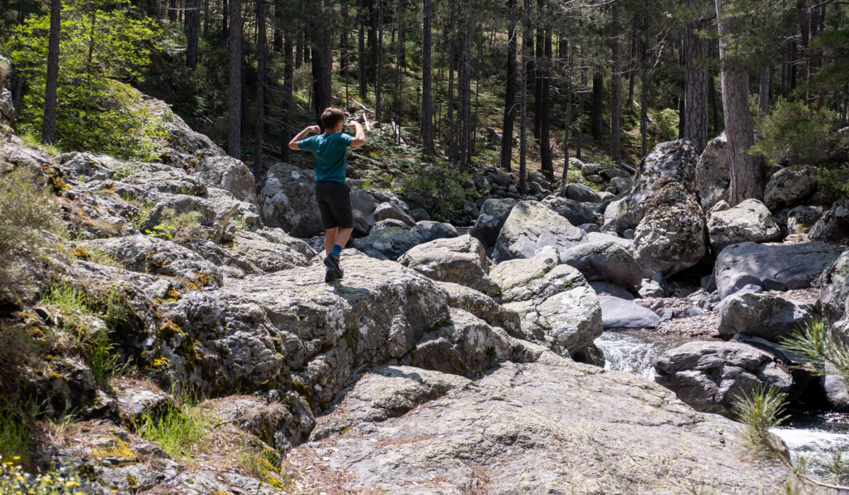 Flussbett Wandern Kinder