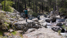 Flussbett Wandern Kinder