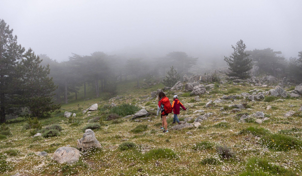 Wandern Bavella Pass