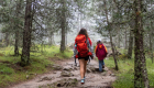 Wanderweg Bavella Pass