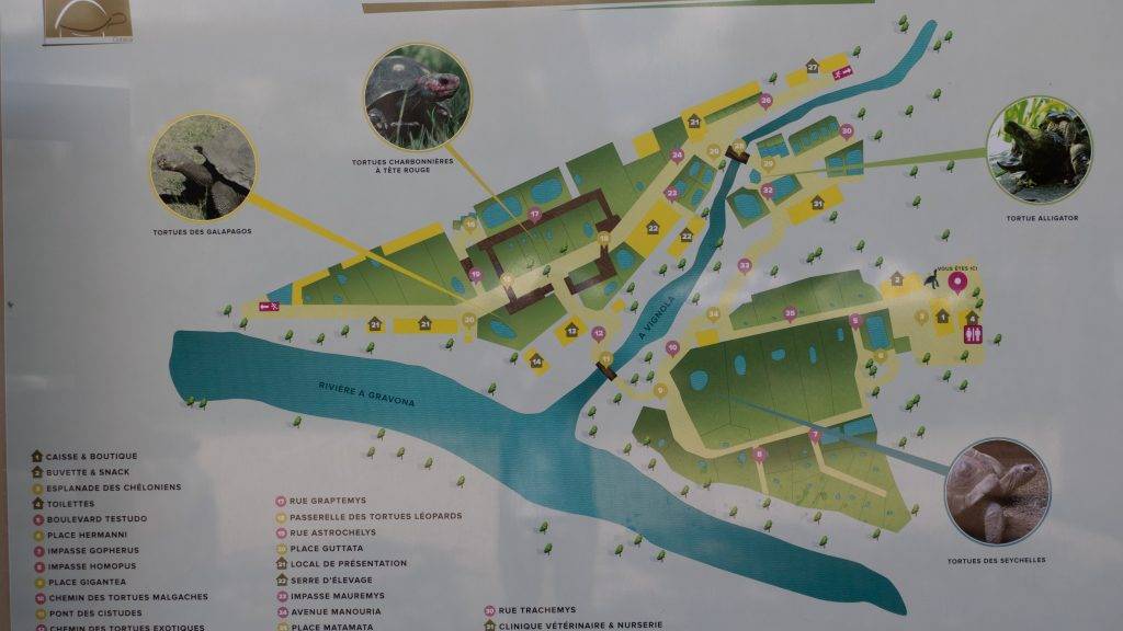 Wegweiser A Cupulatta