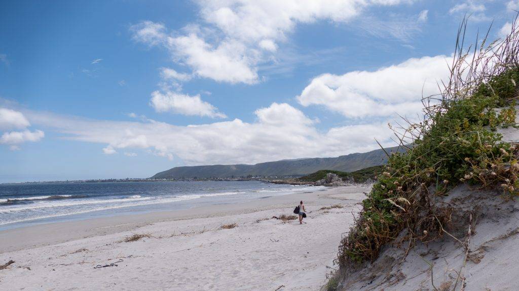 Strandbesuch am kilometerlangen Grotto Beach