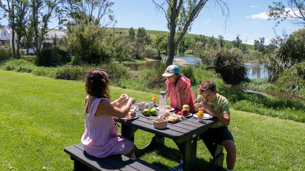 Picknick am See bei strahlendem Sonnenschein