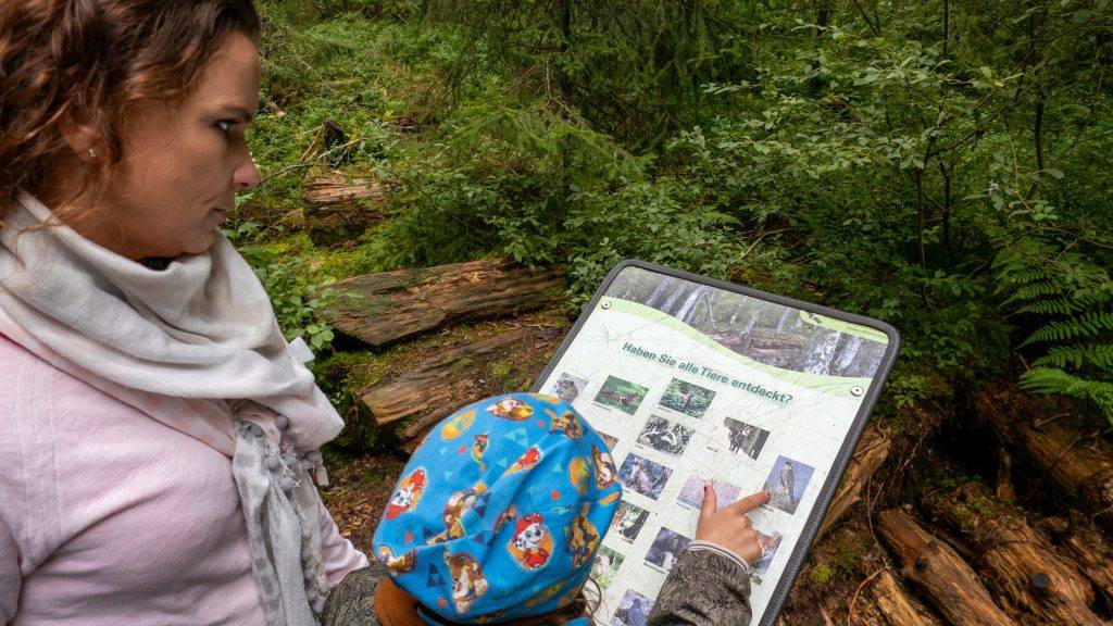 Alle Tiere entdeckt? Nach den 200m Tier Suchspiel kontrollieren wir, ob wir alle Tiere im Wald entdeckt haben