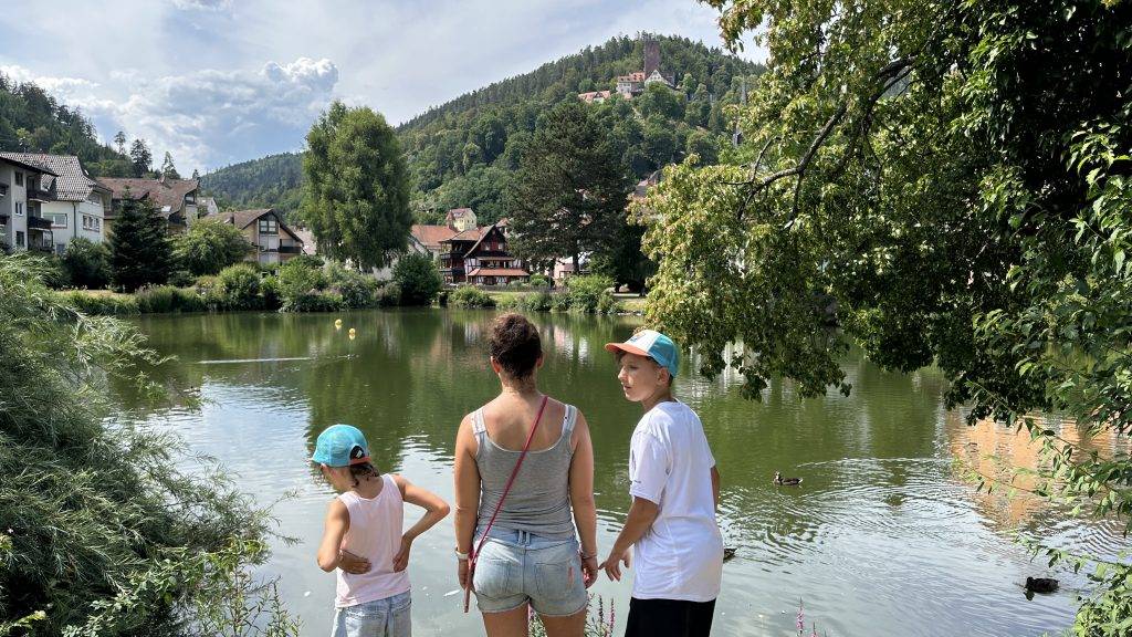 Stadtsee Erkinger Bad Liebenzell