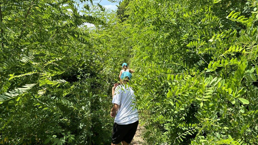 Trail Burg Bad Liebenzell