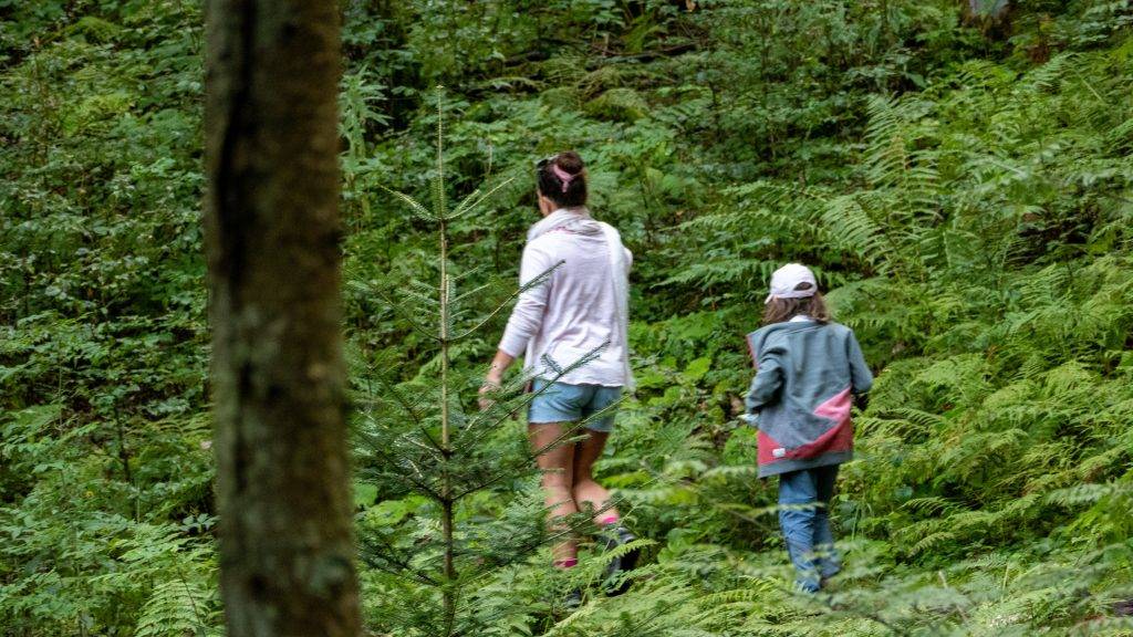 Wandern Kinder Schwarzwald