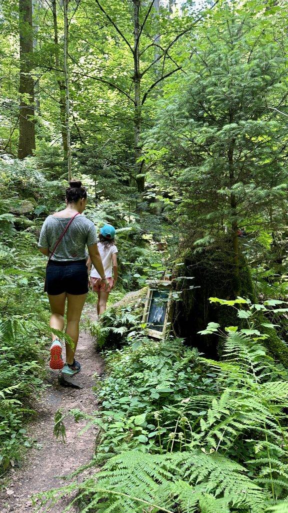Fledermauspfad Trail Schwarzwald