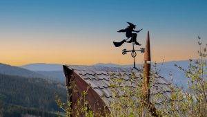 Schwarzwald Urlaub mit Kindern