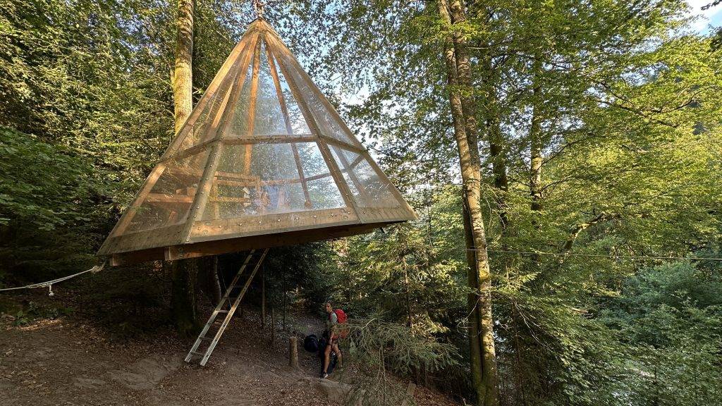 Baumhaus Bad Teinach Schwarzwald