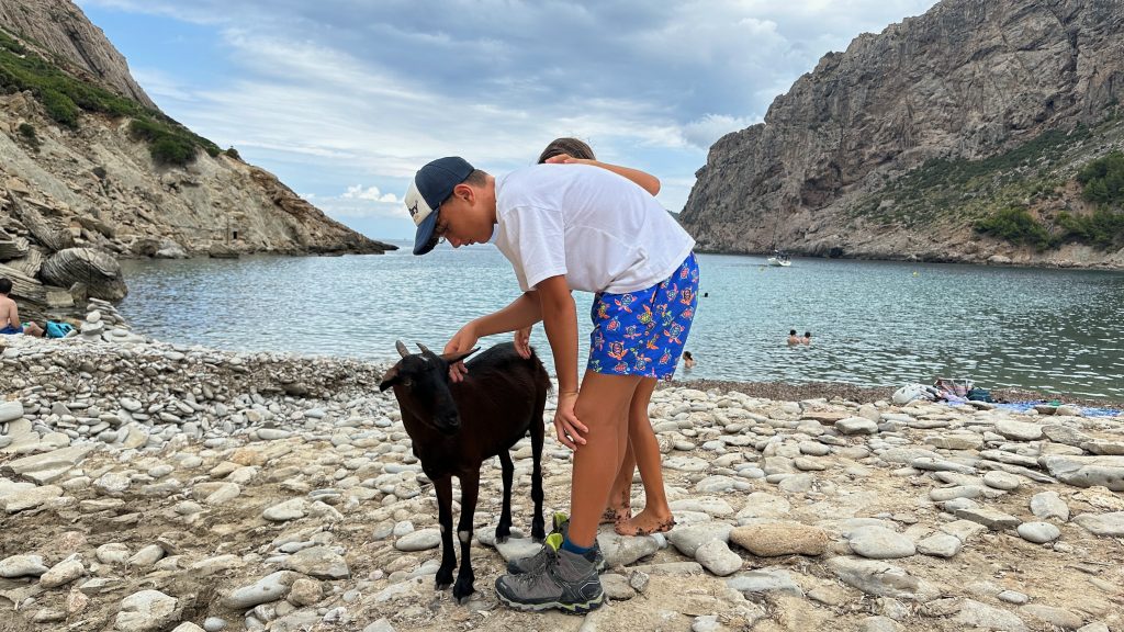 Die Kinder streicheln eine schwarze Ziege am steinigen Strand. Dahinter das ruhige Meer, Felsen und badende Menschen