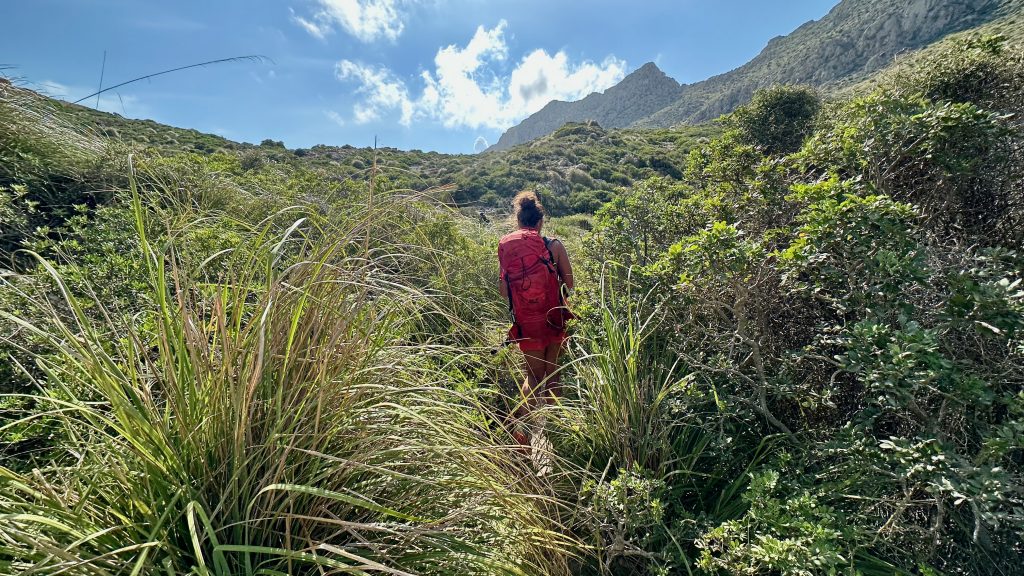 Mitten durch die hohe Macchia läuft Silke samt roten Rucksack auf einem schmalen Pfad durch hohe Gräser und Büsche, im Hintergrund steile Berggipfel