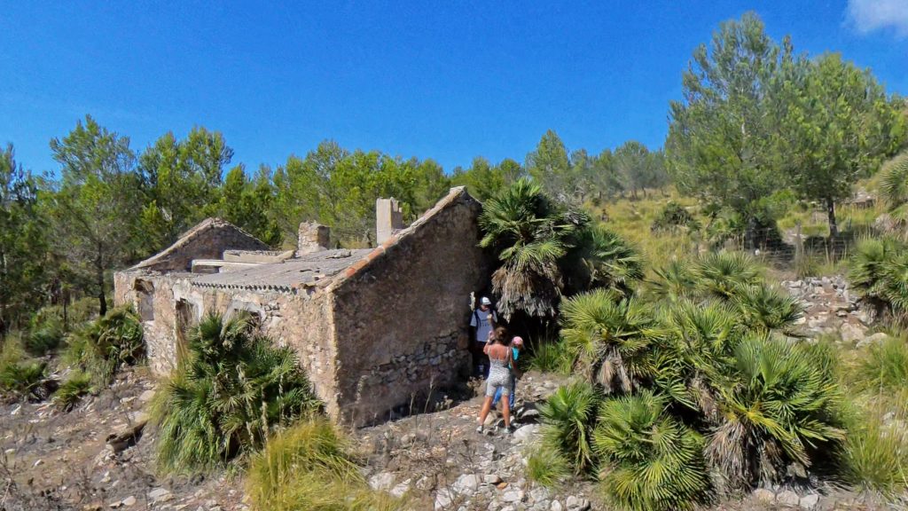 Verlassenes Steinhaus mitten in der Macchia ohne Dach