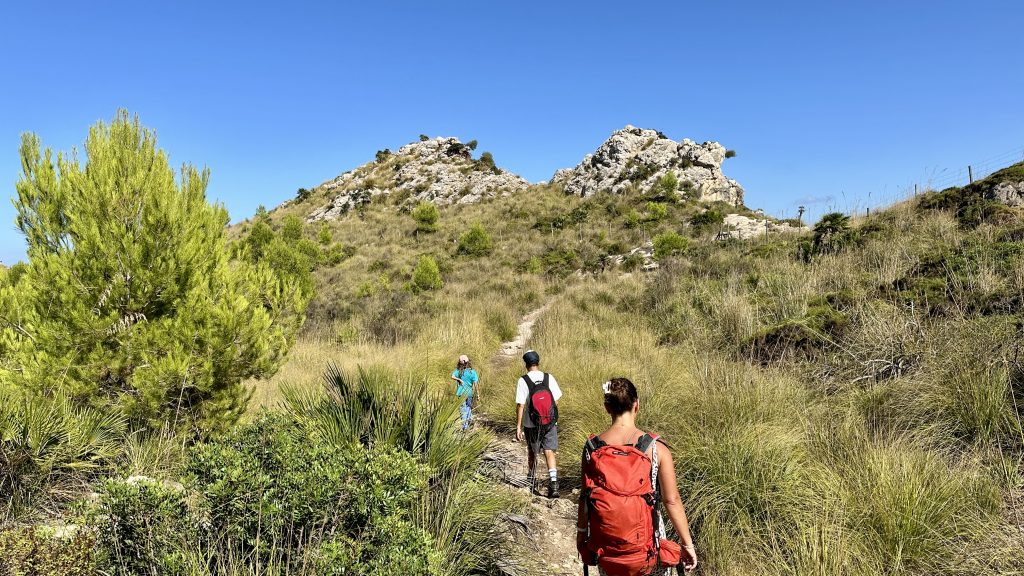 Wanderndurch Pinienwälder mit Blick auf das Meer im Nationalpark Llevant auf Mallorca