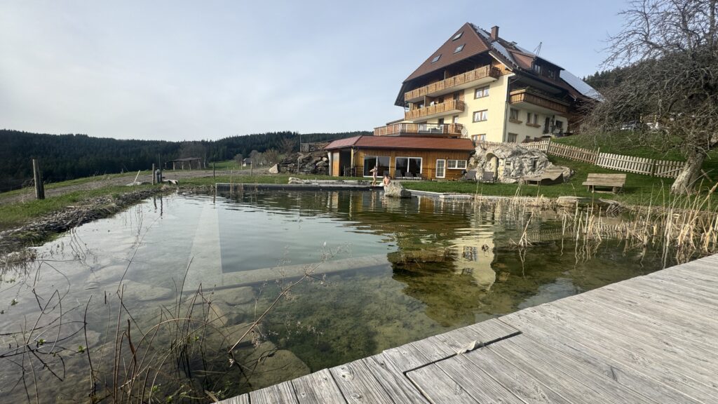 Haberjockelshof mit Naturpool im Hochschwarzwald