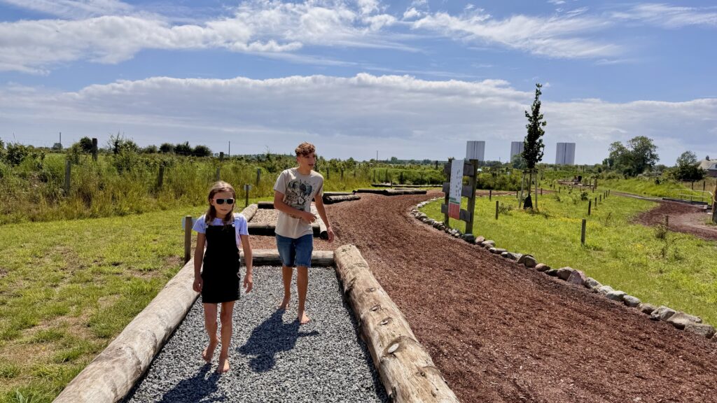 Barfusspfad mit unterschiedlichen Becken aus Steinen und Holz bei strahlend blauen Himmel