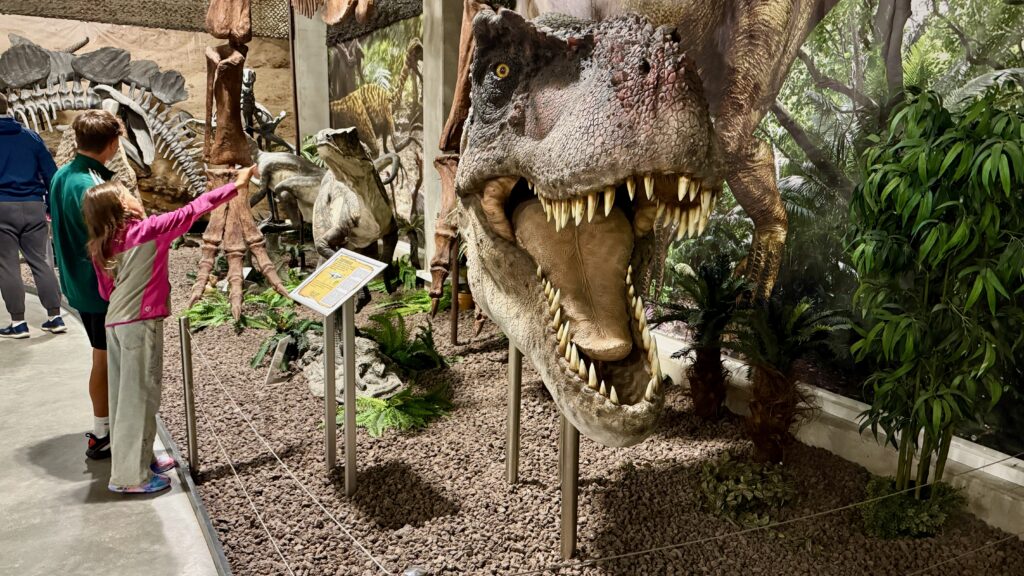 riesiger, lebensechter Dinosaurier Kopf aus Plastik mit messerscharfen Zähnen