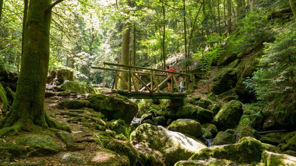 Holubrücke Gertelbacher Wasserfälle