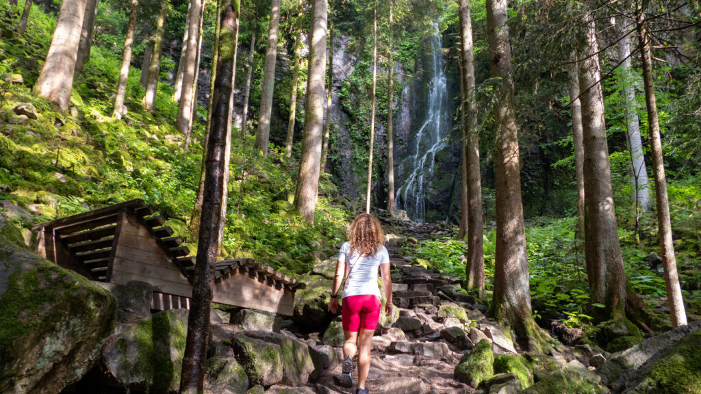 Burgbachwasserfall Schwarzwald