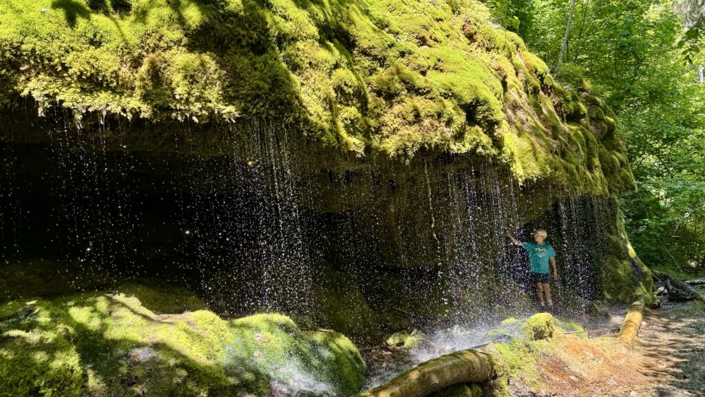 Dietfurter Wasserfall Schwarzwald