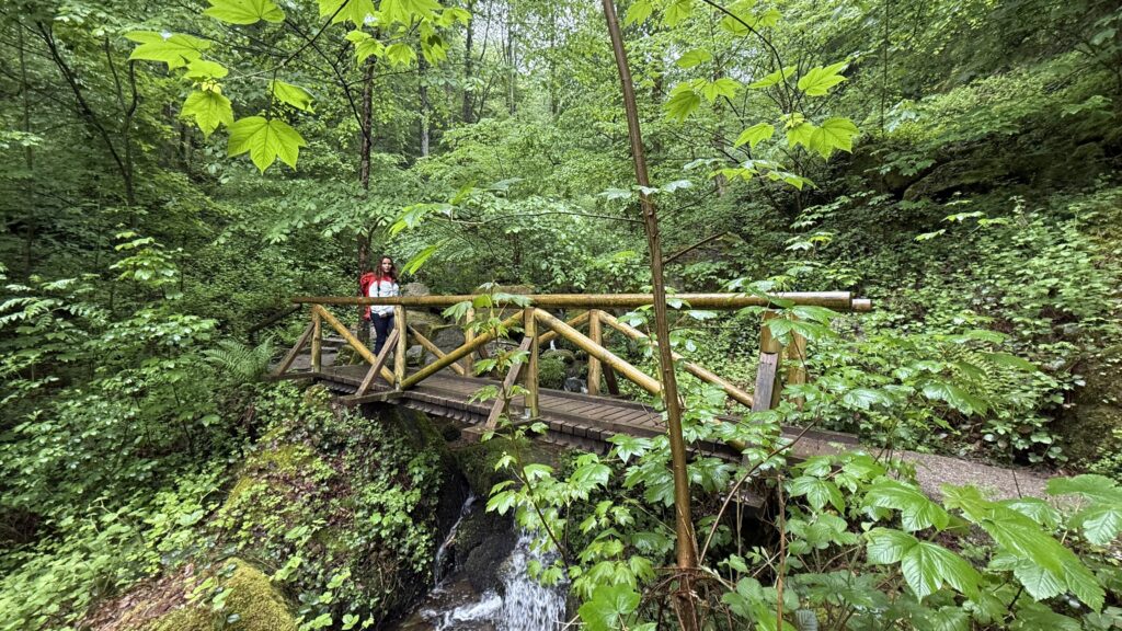 Gaishöll_Wasserfall_Holzbrücke