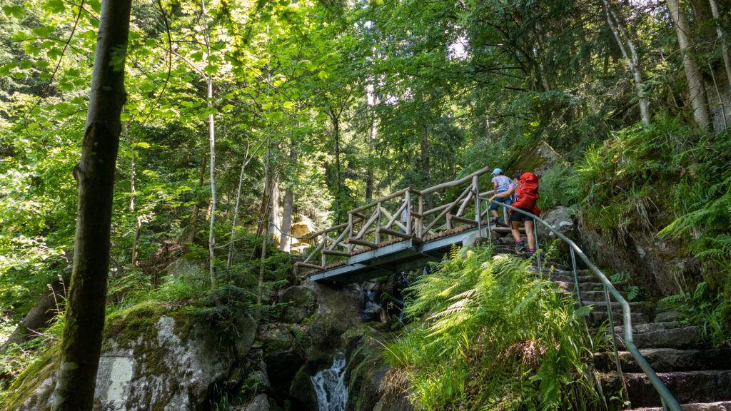 obere Brücke an den Gertelsbacher Wasserfälle