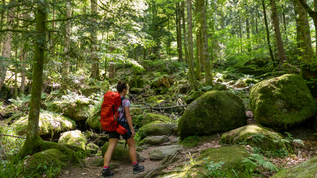 Wandern im grünen Schwarzwald