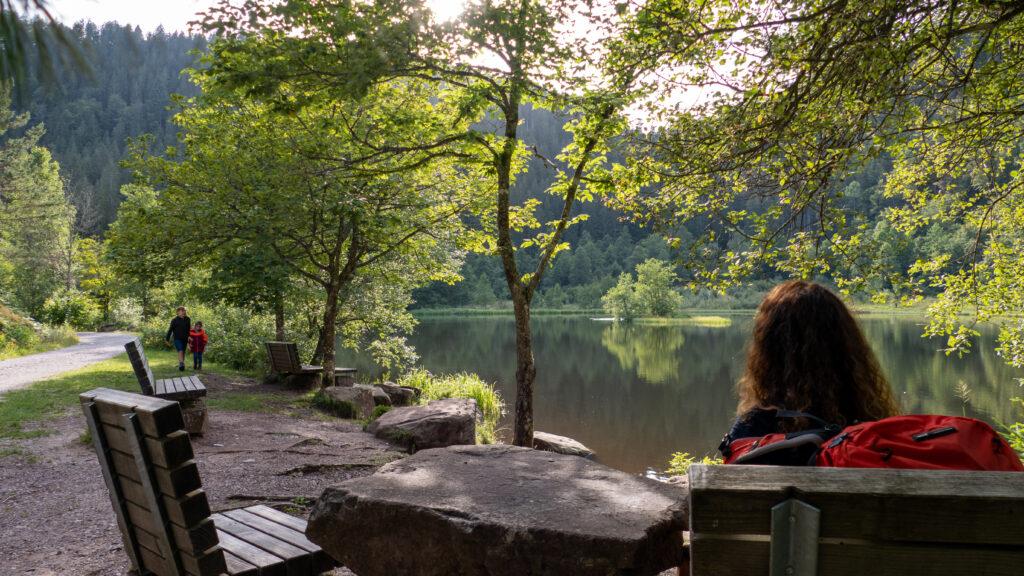Picknick Sankenbachsee Baiersbronn