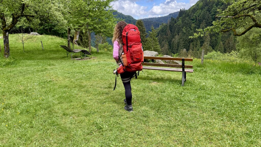 Picknickplatz Zweribach Wasserfall