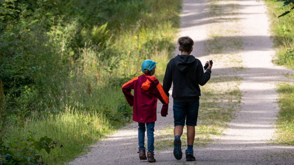 Waldweg Sankenbach Wasserfall Runde