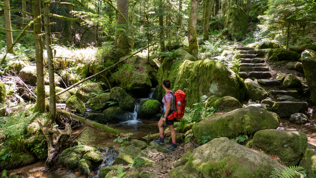 Kühle Erfrischung entlang der Gertelbach