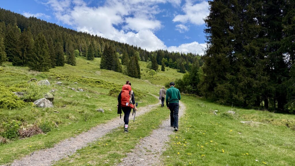 Wandern Menzenschwand Hochebene
