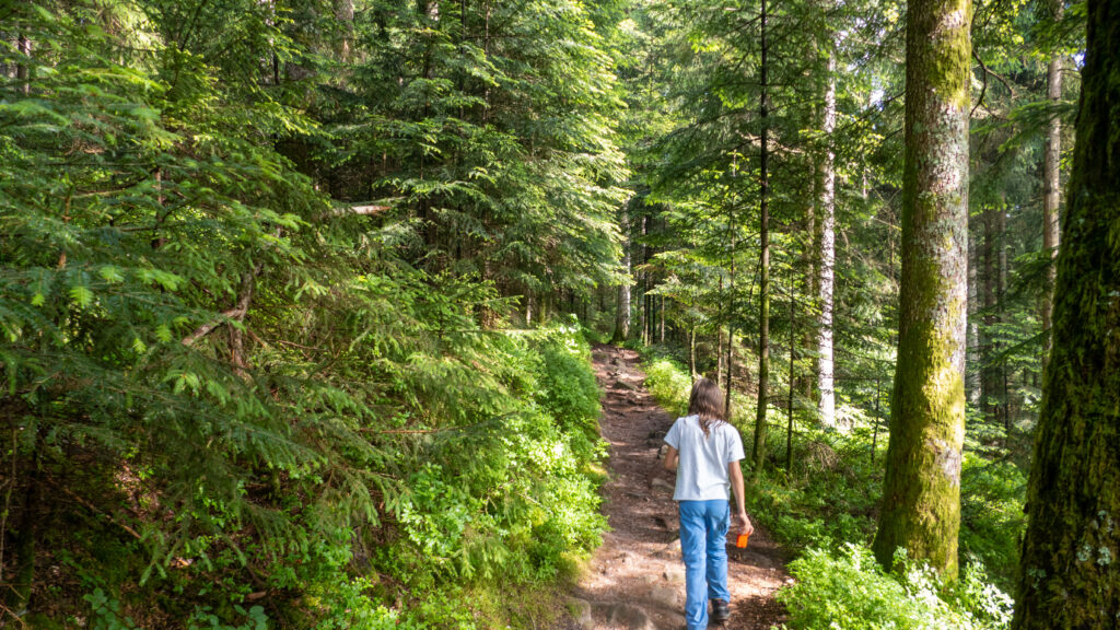 Wanderweg Burgbachfelsen