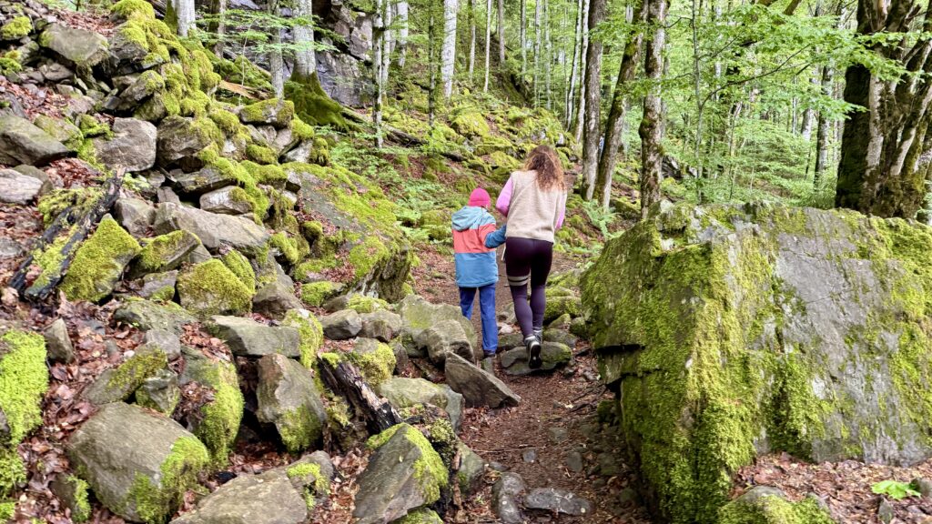 Wanderweg ZweribachWasserfall