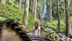 Wasserfälle Schwarzwald Ausflug