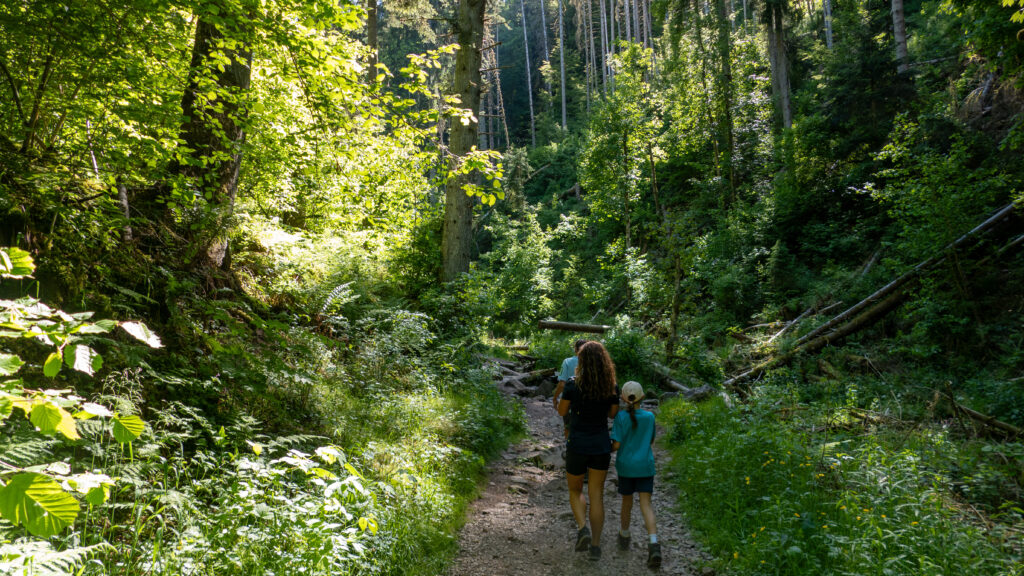 Wutachschlucht Schwarzwald