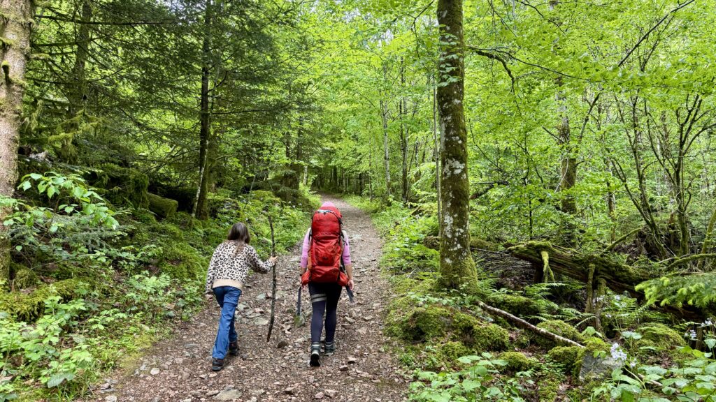 steiler Wanderweg Zweribach Wasserfall