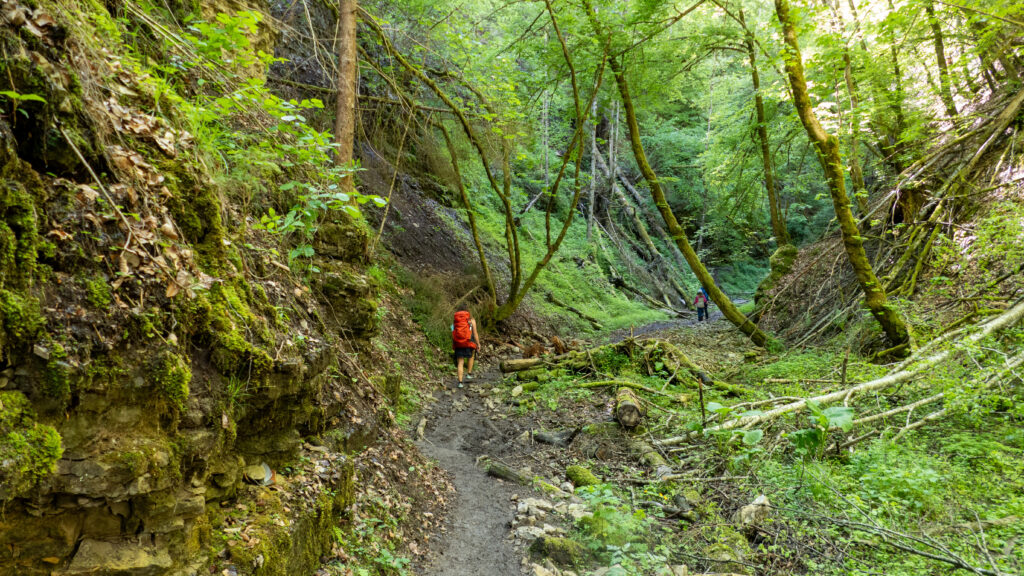 Engeschlucht Hochschwarzwald