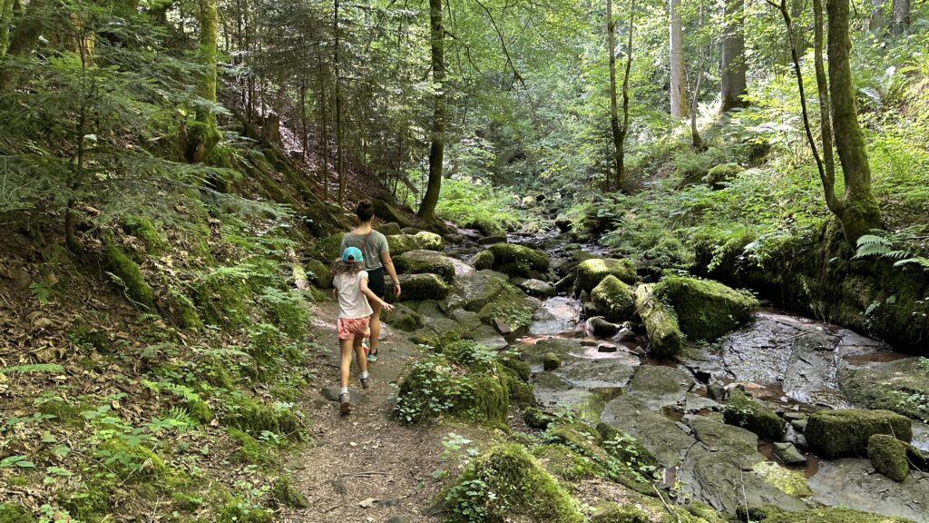 Fledermauspfad Neubulach Schwarzwald