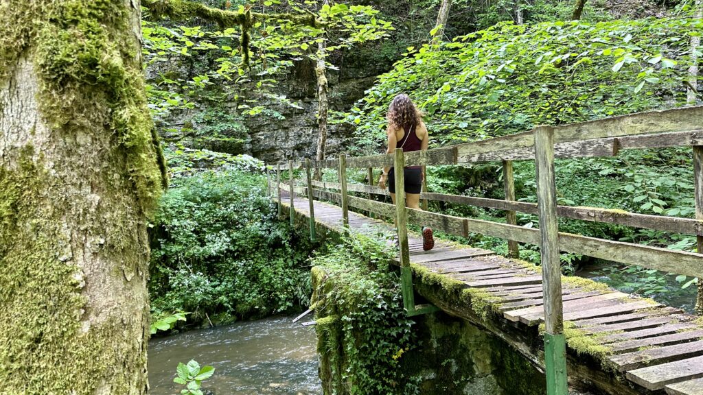 Gauchachschlucht Hochschwarzwald