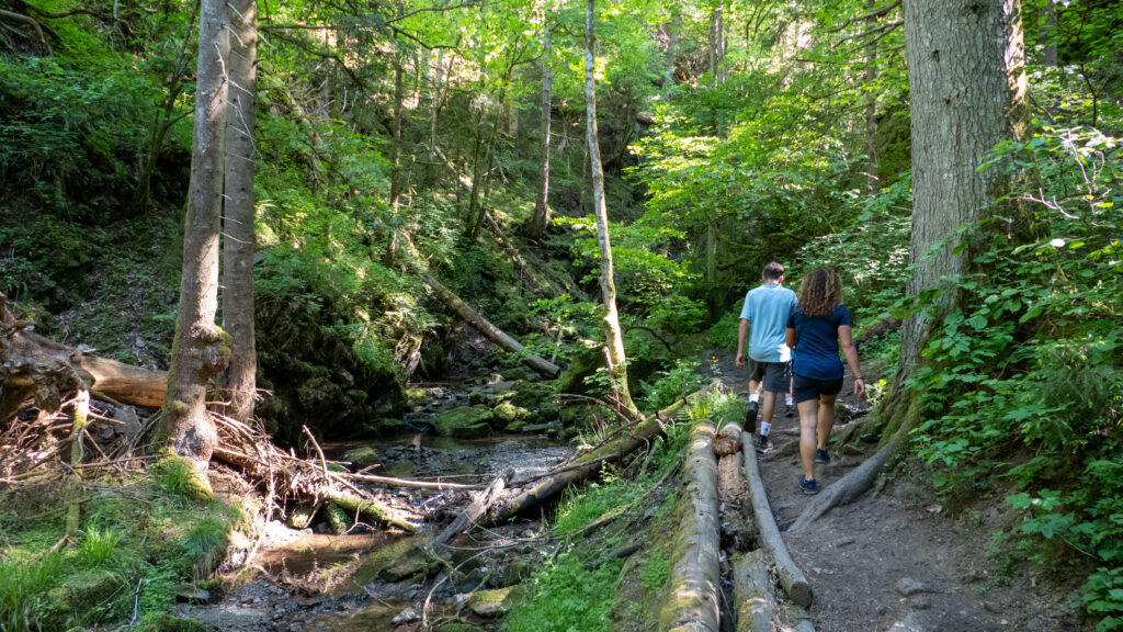 Lotenbachklamm