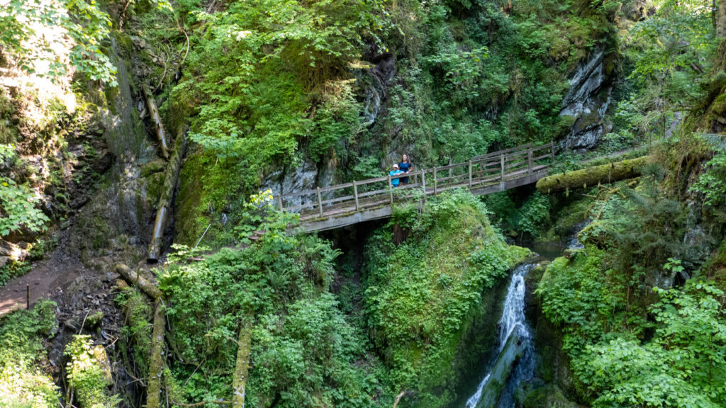 Lotenbachklamm Schwarzwald