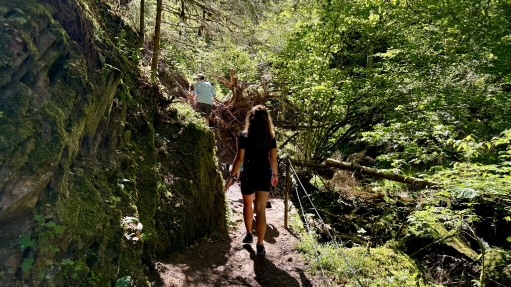 Lotenbachklamm Urwaldpfad Schwarzwald