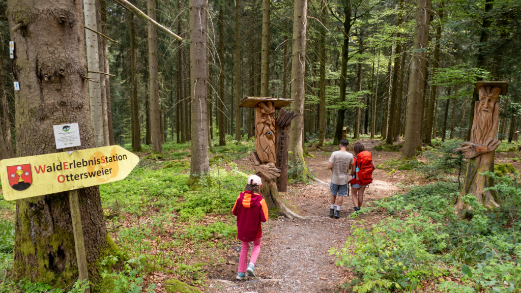 Walderlebnispfad Ottersweier Schwarzwald