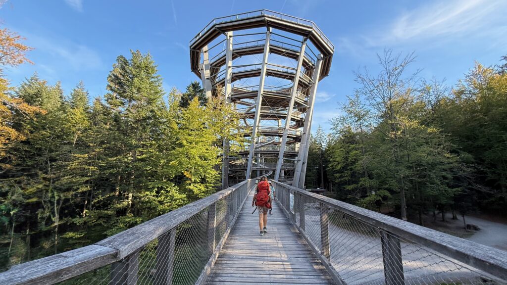 Der 40 Meter hohe Aussichtsturm am Ende des Baumwipfelpfads Bad Wildbad von unten