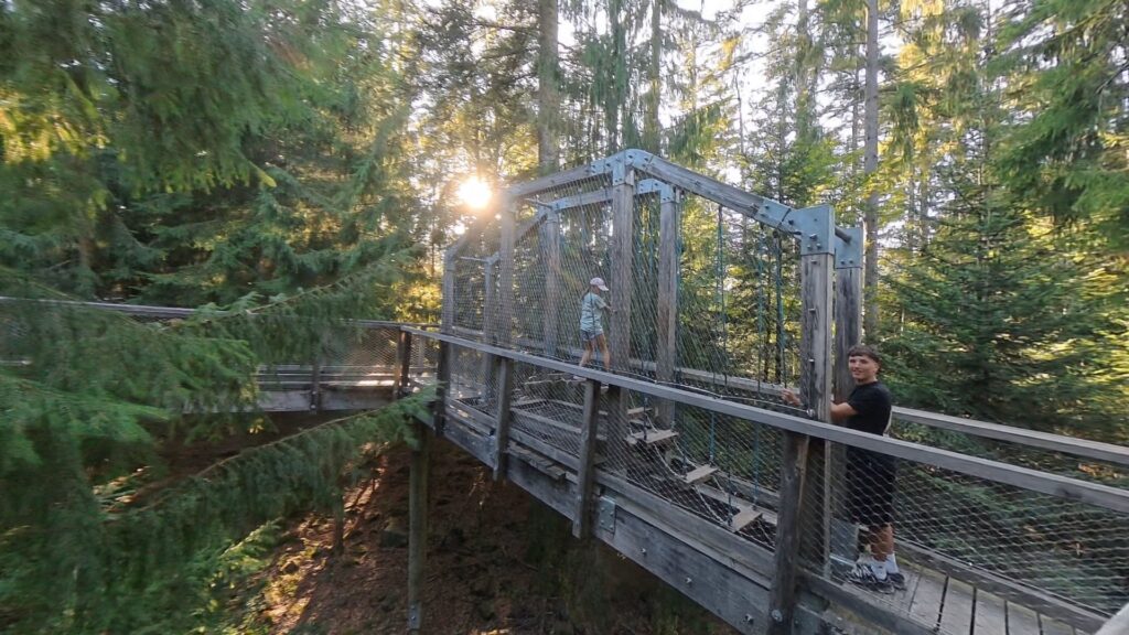 Der Baumwipfelpfad auf dem Sommerberg von der Seite mit hohen Holzstützen über dem Wald