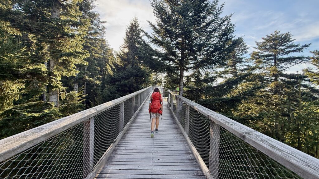 Frau mit rotem Rucksack auf dem Holzsteg des Baumwipfelpfads Bad Wildbad zwischen Tannen